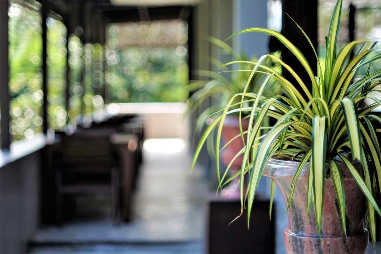 Yoma Hotel, Pai Dış mekan fotoğraf